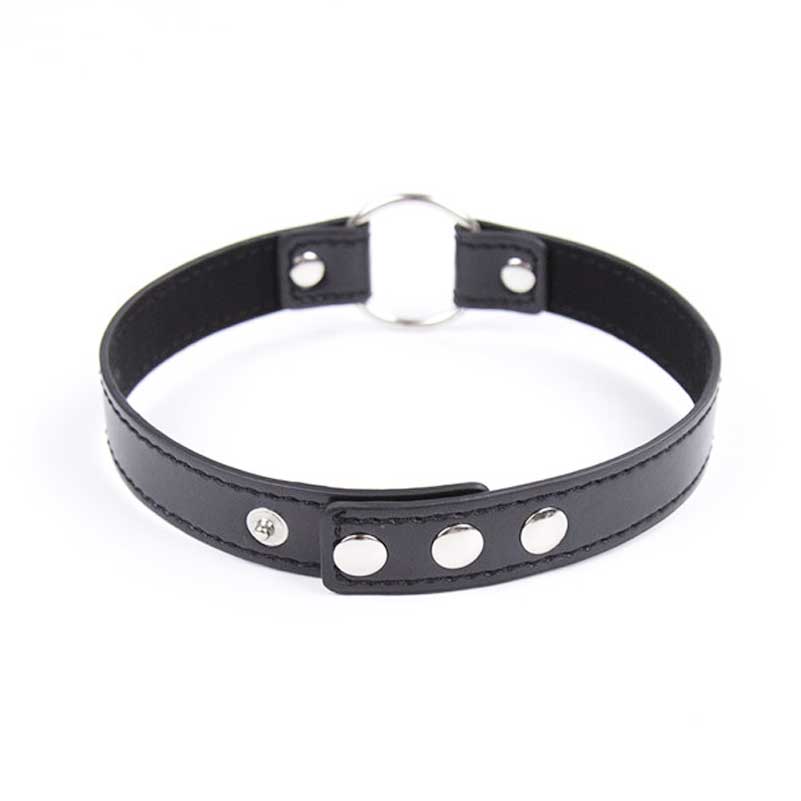 Exquisite Leather Collar with Leash