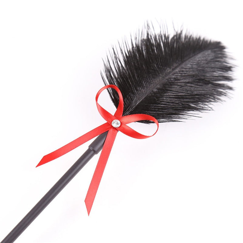BDSM Feather Spanking Paddle